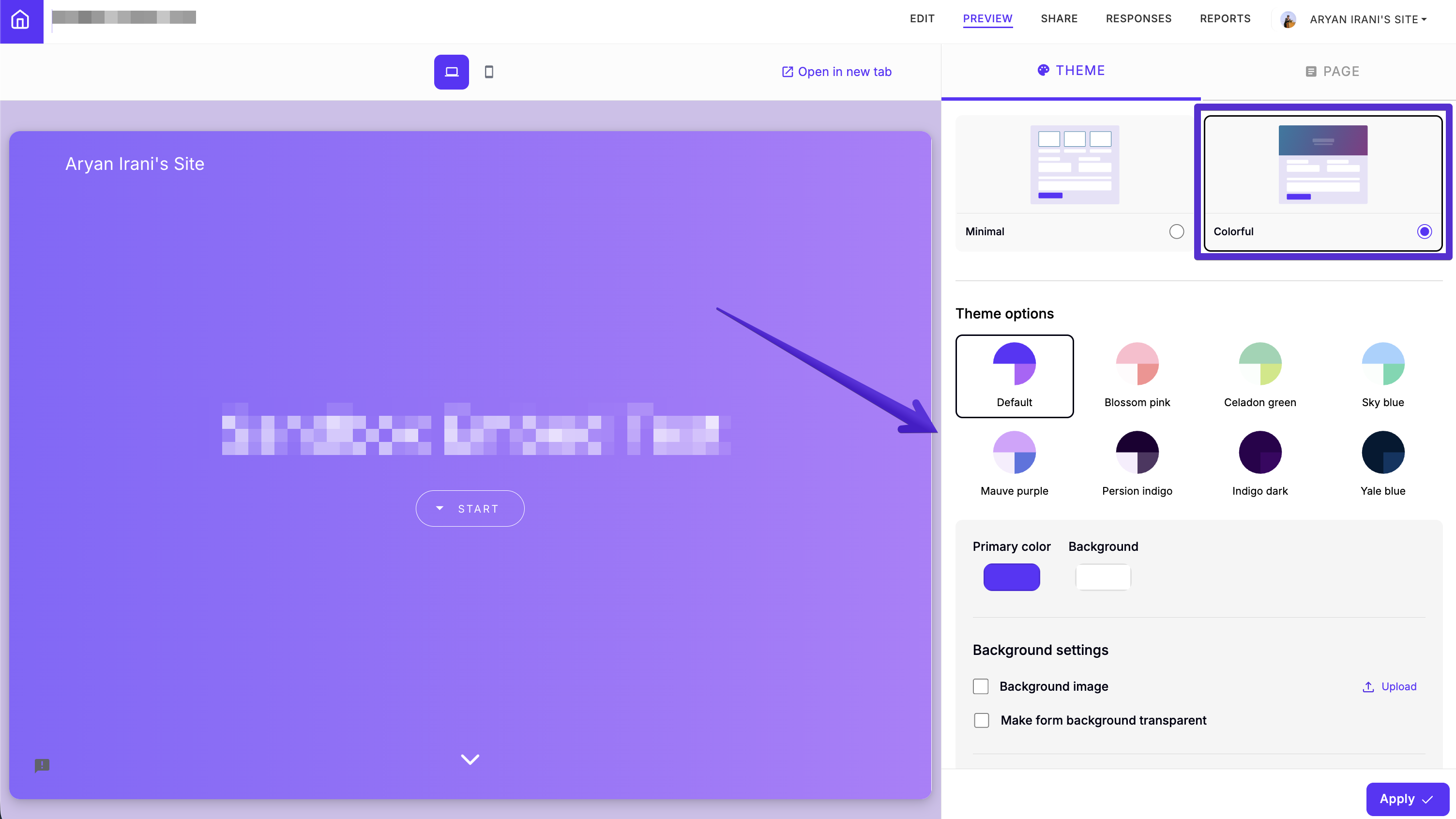 The Theme tab with Colorful selected and its richer preset palette